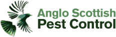 Pest Control in Edinburgh, throughout the Lothians